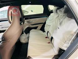 بي واي دي سونغ بلس